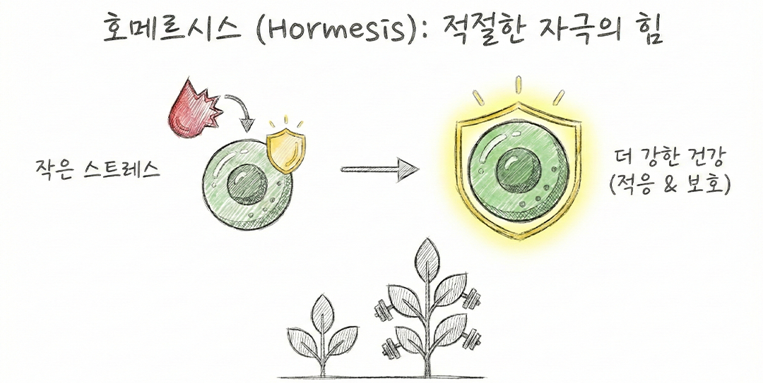 278333d7631b085839cd86b9eb238a4e_1771476183_4029.png 278333d7631b085839cd86b9eb238a4e_1771476183_4029.png