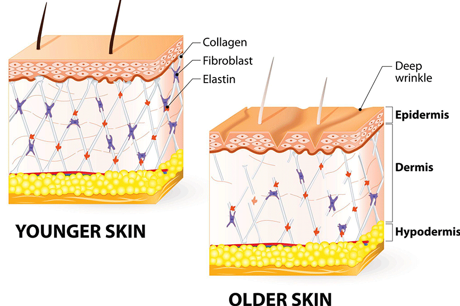 5e31eb5f76e1aabe5210841b78802249_1772595683_2485.gif 5e31eb5f76e1aabe5210841b78802249_1772595683_2485.gif